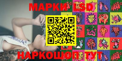 крисы Пенза