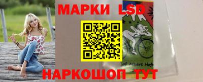 крисы Пенза