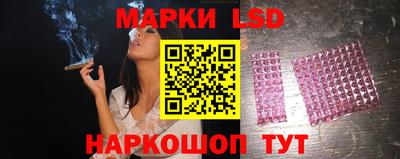 крисы Пенза