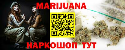 крисы Пенза