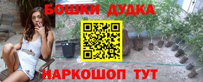 крисы Пенза