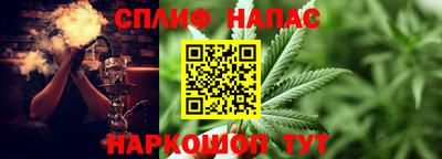 крисы Пенза
